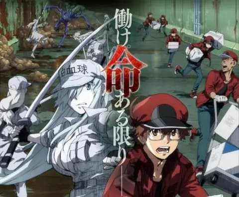 انمي Hataraku Saibou Black الحلقة 8
